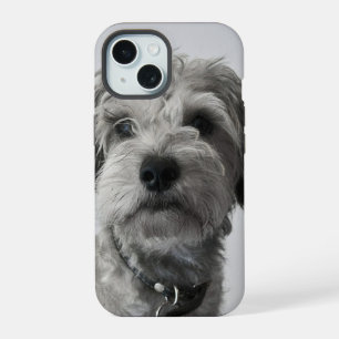 Schnauzer Puppy Portrait Photo iPhone 15 Case