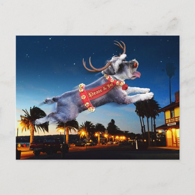 Schnauzer Reindeer Christmas Postcard - Benicia (Front)