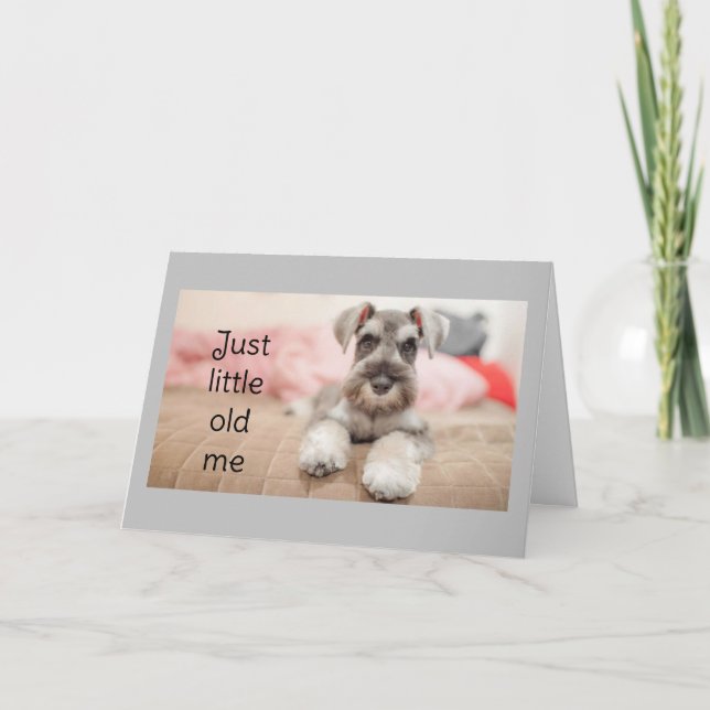 "SCHNAUZER SAYS HAPPY BIRTHDAY"  CARD (Front)