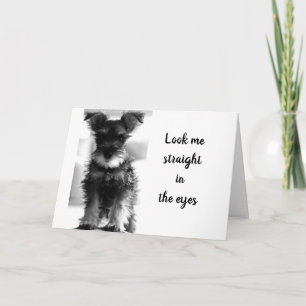 SCHNAUZER SAYS "YOU STILL LOOK 59" "60TH BIRTHDAY" CARD