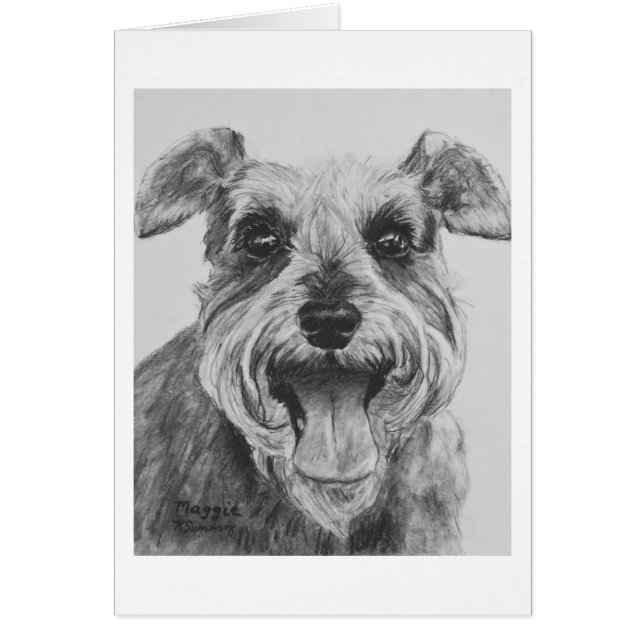 Schnauzer Sketch Artwork (Front)