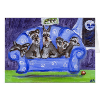 schnauzer sofa family