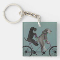 Schnauzer Tandem