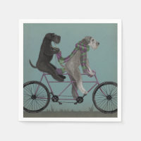 Schnauzer Tandem