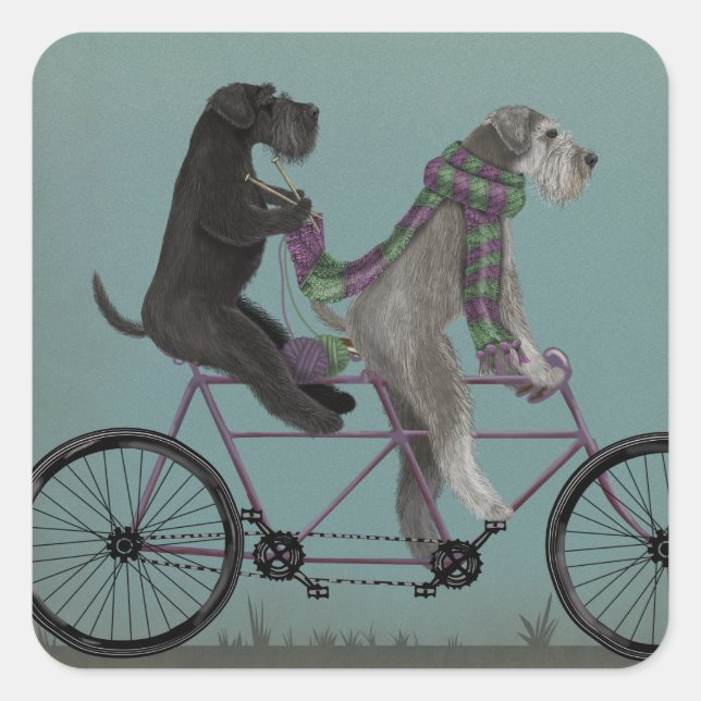 Schnauzer Tandem Square Sticker (Front)
