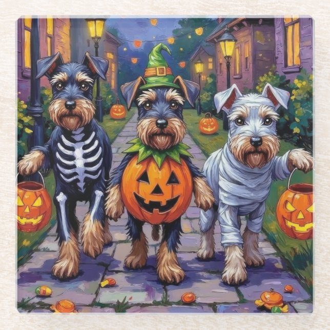 Schnauzer Trick-or-Treating in Halloween Costumes Glass Coaster (Front)