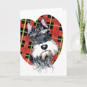 Schnauzer Valentine Holiday Card