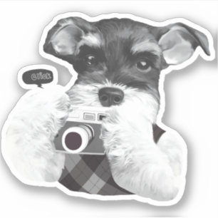 Schnauzer with Camera