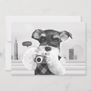 Schnauzer with Camera Card