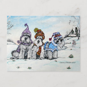 Schnauzers in Winter Postcard
