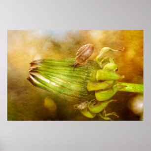 Schnecke auf Löwenzahn Poster