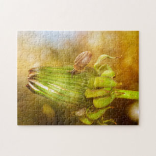 Schnecke auf Wanderung ... Jigsaw Puzzle
