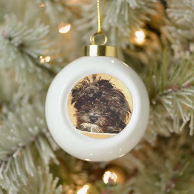 Schnoodle Ball Ornament (Tree)