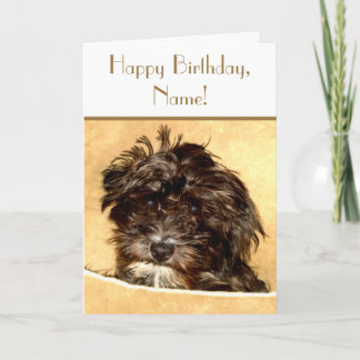 Schnoodle Birthday Customisable Text Card