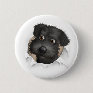 Schnoodle (Black) Busting Out 6 Cm Round Badge