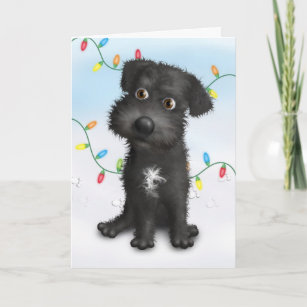 schnoodle gifts