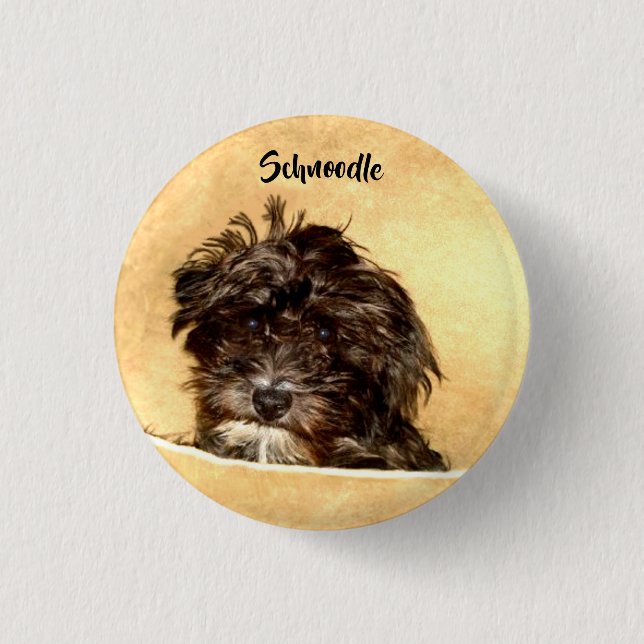 Schnoodle Dog Button (Front)