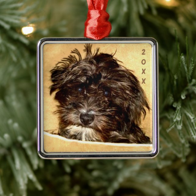 Schnoodle Premium Square Ornament (Tree)