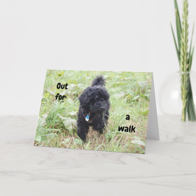 SCHNOODLE PUP SAYS HAPPY 50th BIRTHDAY Card (Front)