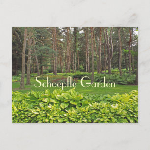 SCHOEPFLE GARDEN (OHIO) POSTCARD