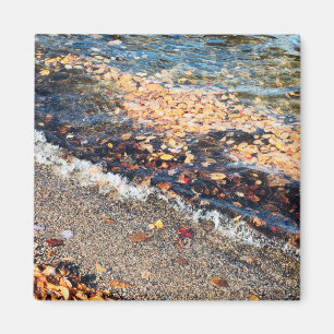 schoodic bay in the fall magnet