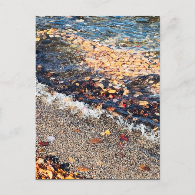 schoodic bay in the fall postcard (Front)