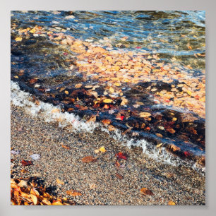 schoodic bay in the fall poster