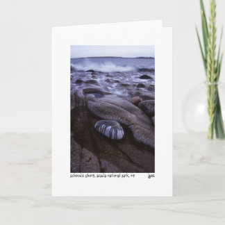 Schoodic shore photo card