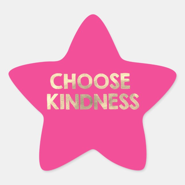 School Antibullying Pink Choose Kindness Star Sticker (Front)