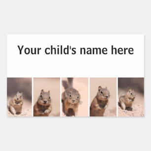 School Book Stickers Chipmunk Squirrel