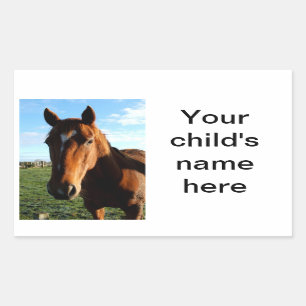 School Book Stickers Horse Pony