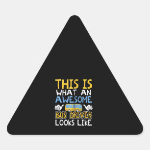 School Bus Driver Graphic Gift, School Bus Design Triangle Sticker