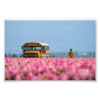 School Bus, Magic Bus.