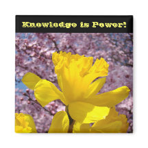 School Locker magnets Knowledge is Power!