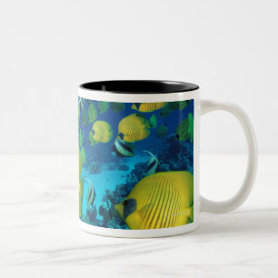 School of Butterfly Fish Swimming on the Seabed Two-Tone Coffee Mug