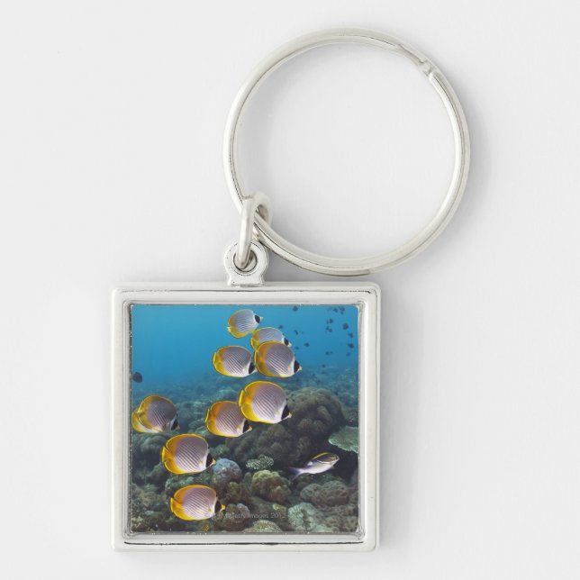 School of Fish 2 Key Ring (Front)