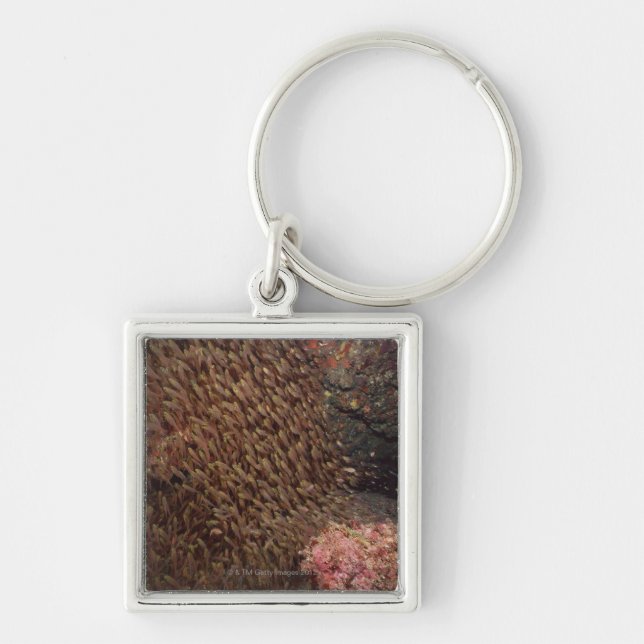 School of Fish 2 Key Ring (Front)