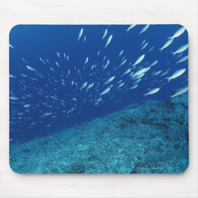 School of Fish 6 Mouse Mat (Front)