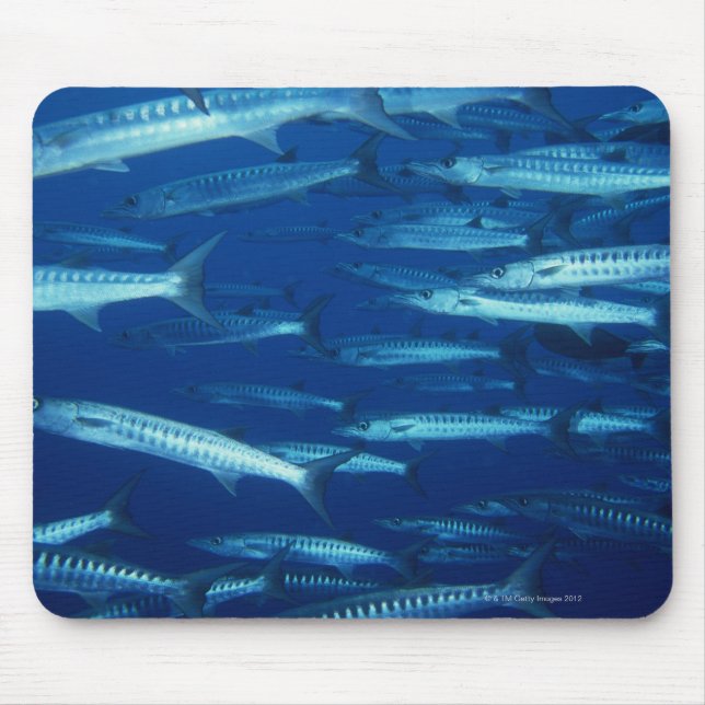 School of Fish 9 Mouse Mat (Front)