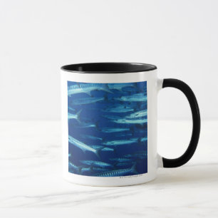 School of Fish 9 Mug