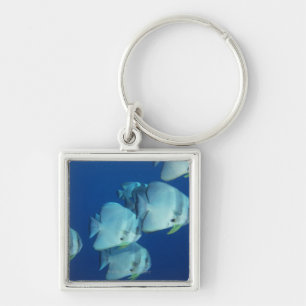 School of Fish Key Ring
