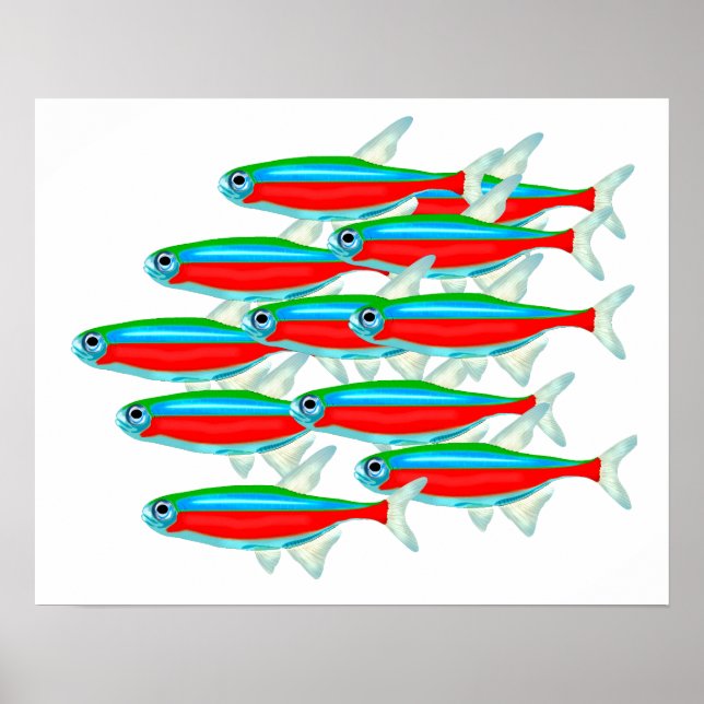 School of Neon Tetras Poster (Front)