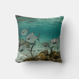 School of Permit Fish Cushion