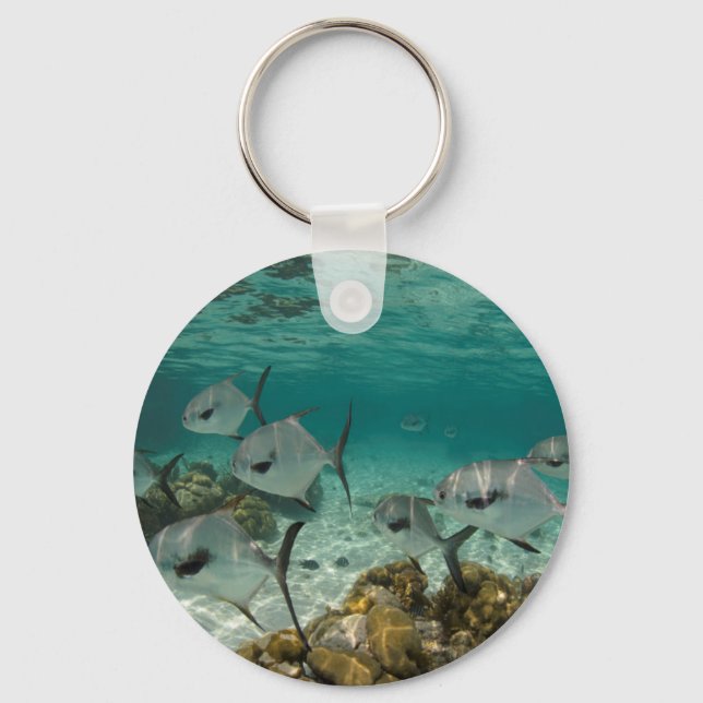 School of Permit Fish Key Ring (Front)