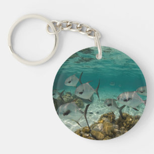 School of Permit Fish Key Ring