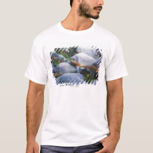 School of Piranhas (Pygocentrus nattereri) T-Shirt