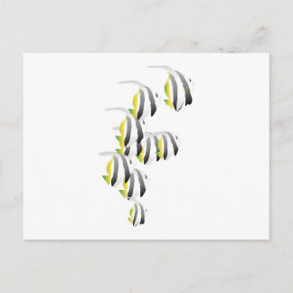 School of Tropical Fish Postcard
