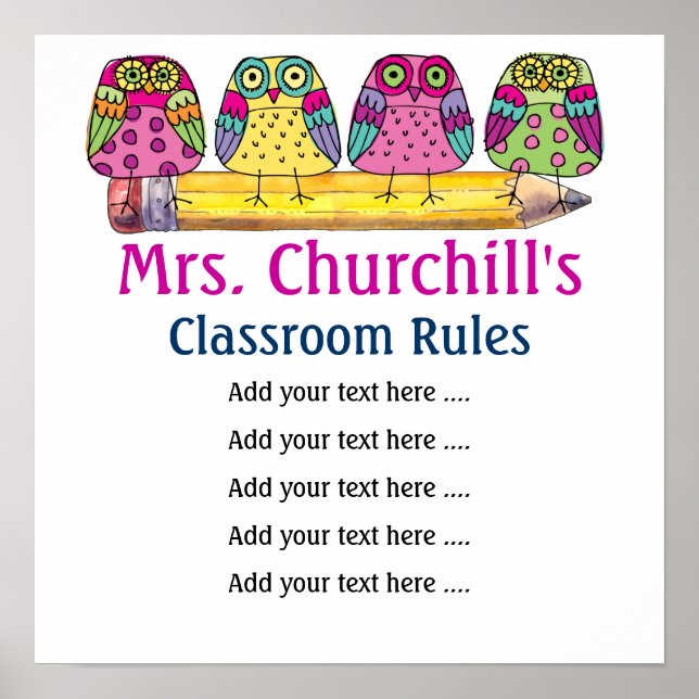 School Teacher's Classroom Rules LG. by SRF Poster (Front)