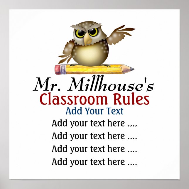 School Teacher's Classroom Rules - SRF Poster (Front)