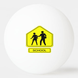 School Zone Ping Pong Ball